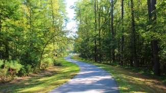an image of a paved trail surrounded by trees