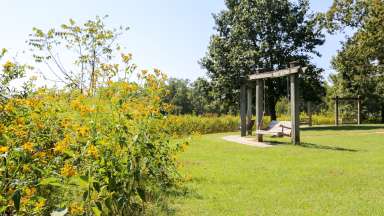 A variety of shrubs and plants surrounding swinging chairs
