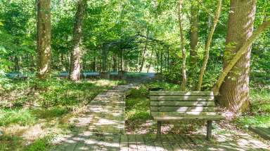 Park bench on boardwalk in woodsy area with pergola and greenway in background