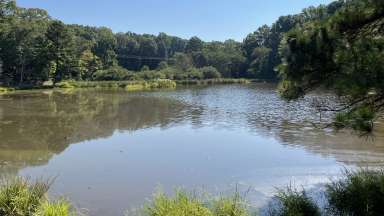 Camp Pond Dam