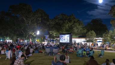 people sitting on lawn watching a movie on a big screen