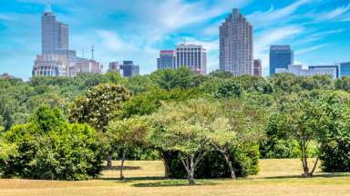 raleigh-skyline-in-background-of-park