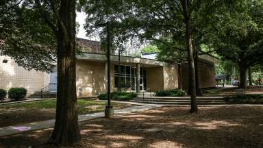 image of building and tree shade