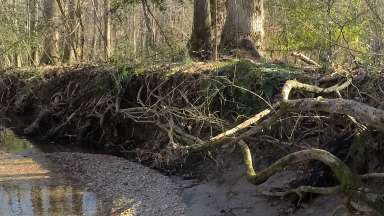 Simms Branch Durant Nature Preserve