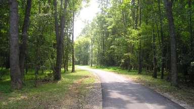 a paved greenway trail surrounded by trees