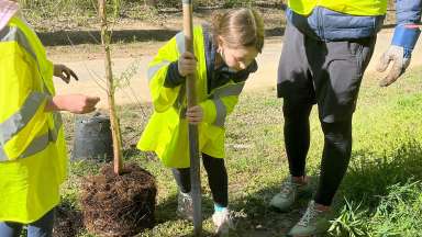 children in safety vests digging holes for trees to be planted