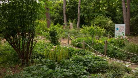 sensory garden at Durant Nature Preserve