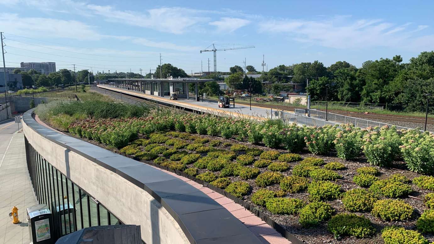 The roof at Raleigh Union Station with green plants and soil that clean and absorb rain