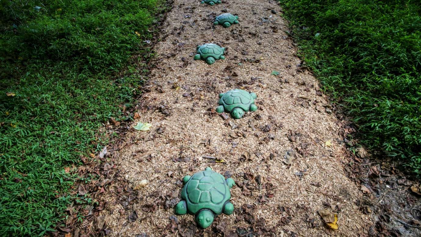 A line of artistic turtles leading down a trail