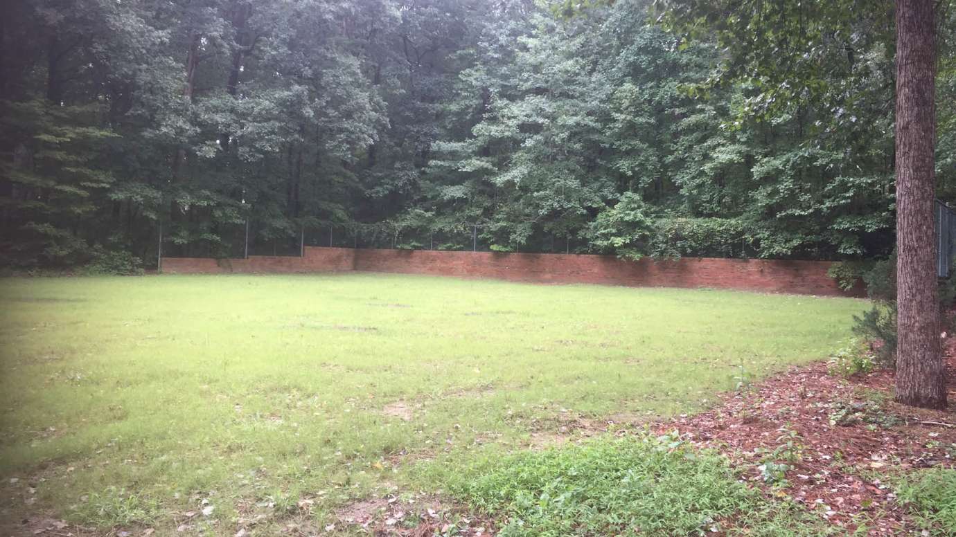 Green, open space that used to be paved.