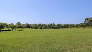 A large open field located near the large picnic shelter