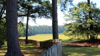 A shot of the trees and open field at Horseshoe Farm Nature Preserve