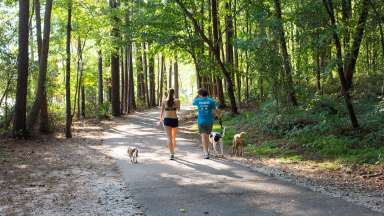 Two people walking their dogs along a greenway trail