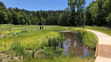 Wooten Meadows Green Stormwater Infrastructure