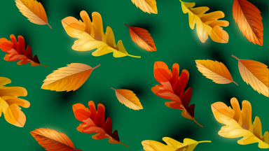 leaf options marketing graphic