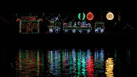 colorful holiday lights reflecting off trees